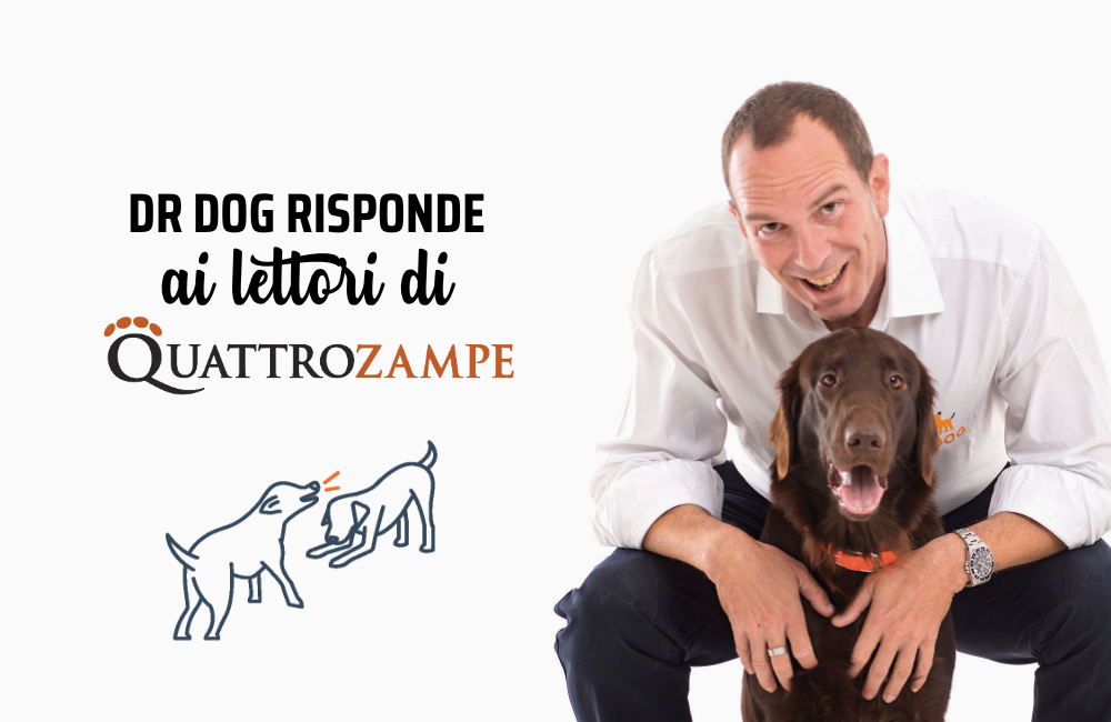 Aggressività da paura nel cane