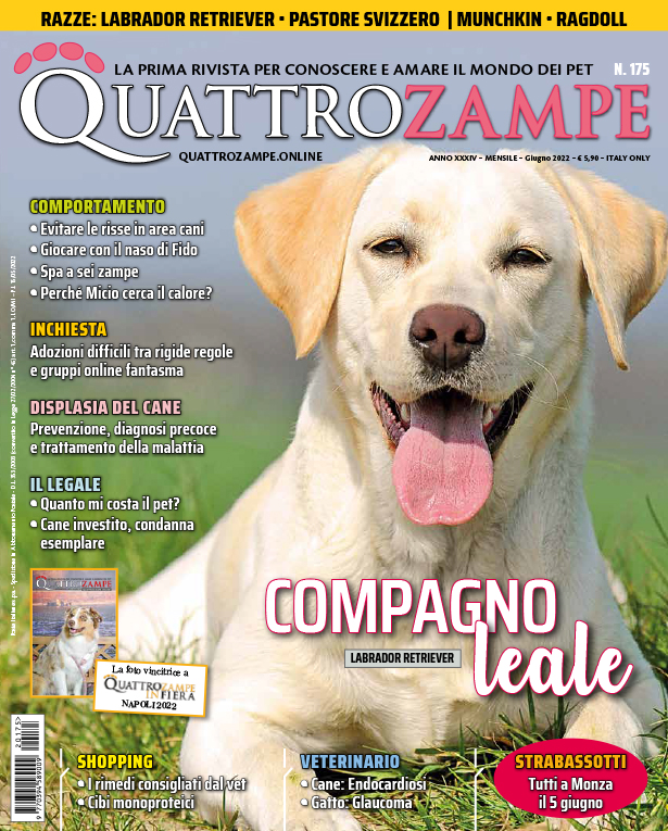 È in edicola il numero di giugno 2022 di Quattrozampe