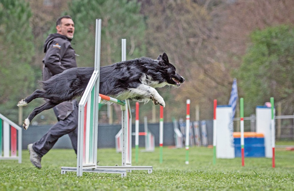 Quattro Border da sballo