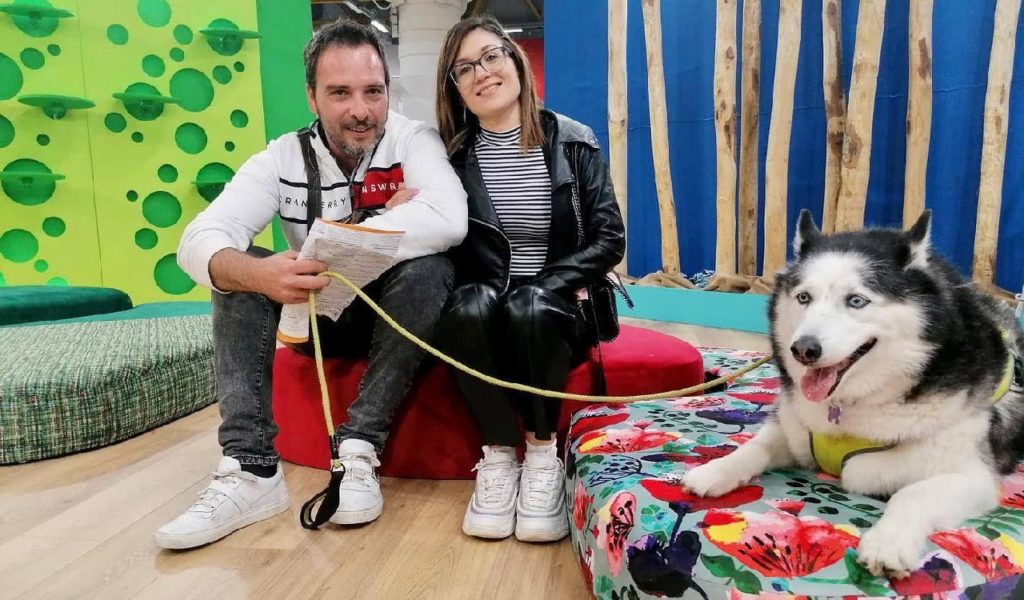 Alla Milano Design Week 2022, la nuova casa di Fido e Micio