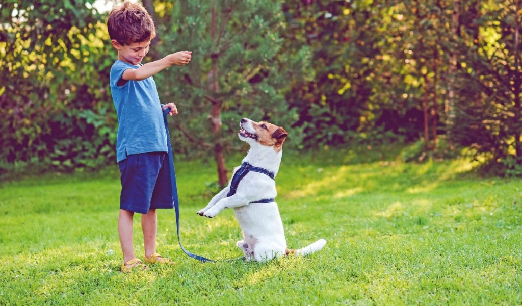 Dog training e pensiero canino