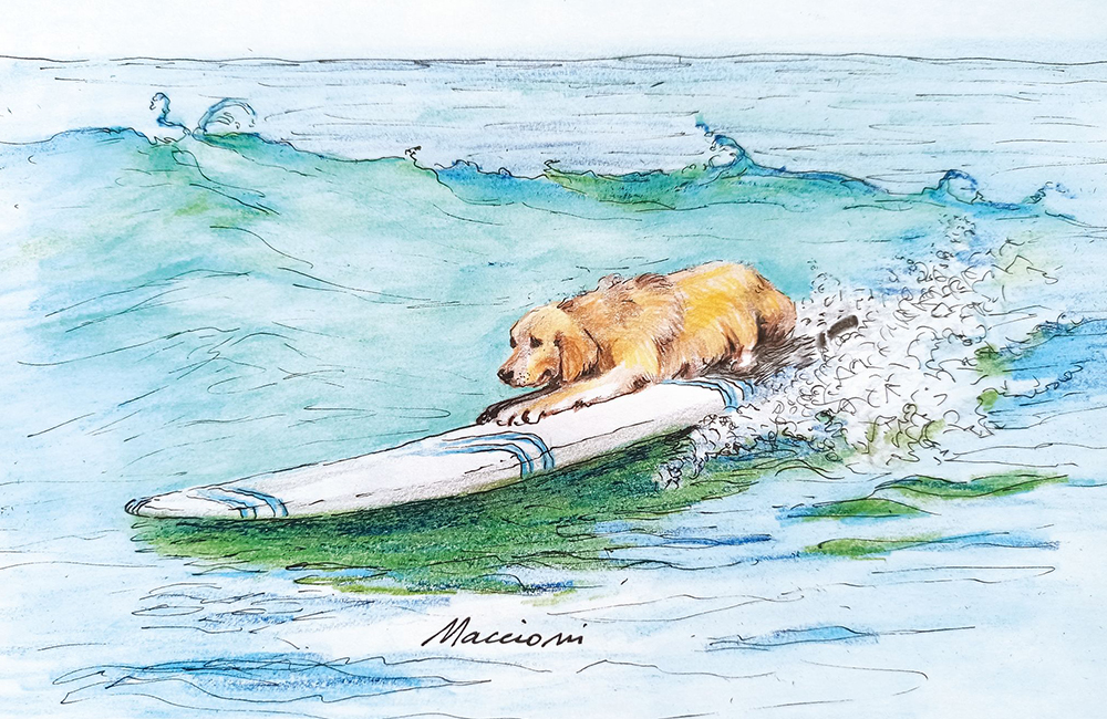 Fido e gli sport acquatici