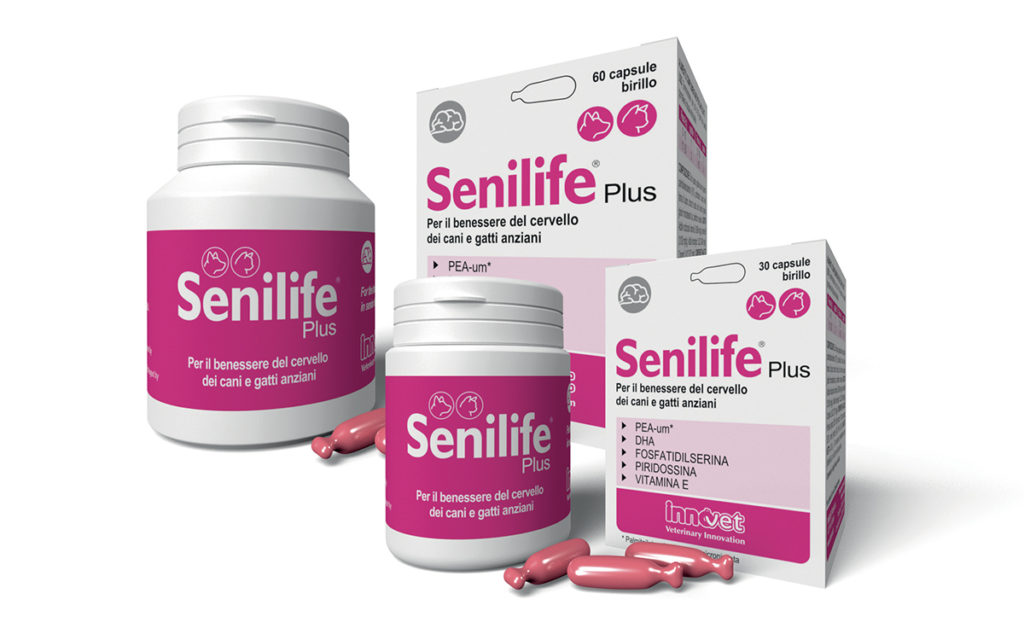 Senilife® per un cervello in forma!