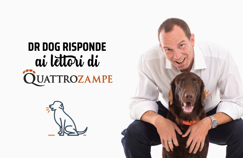 Perché il mio cane piange quando è solo?