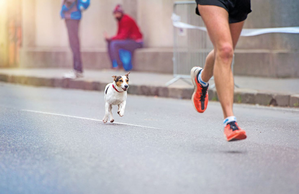 Se Fido insegue ciclisti e runner...