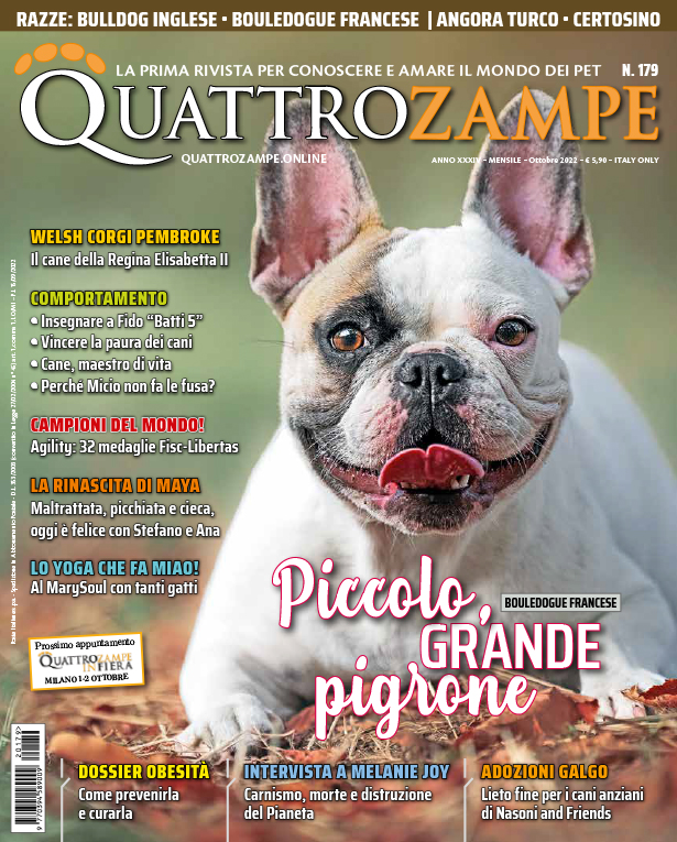 È in edicola il numero di Ottobre 2022 di Quattrozampe