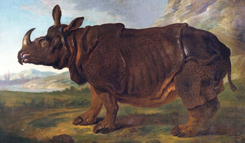 Clara, il rinoceronte triste e famoso