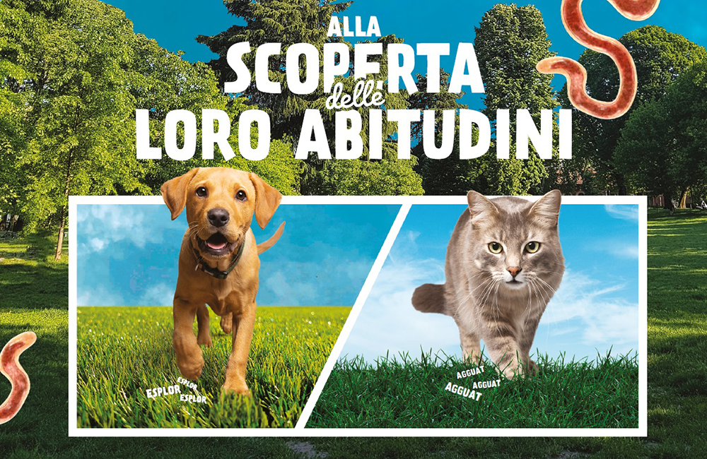 Alla scoperta delle loro abitudini