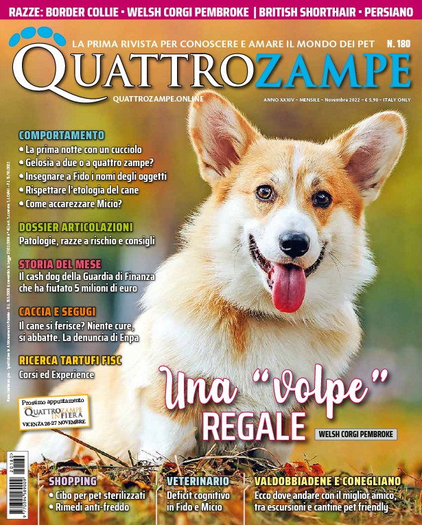 È in edicola il numero di Novembre 2022 di Quattro Zampe