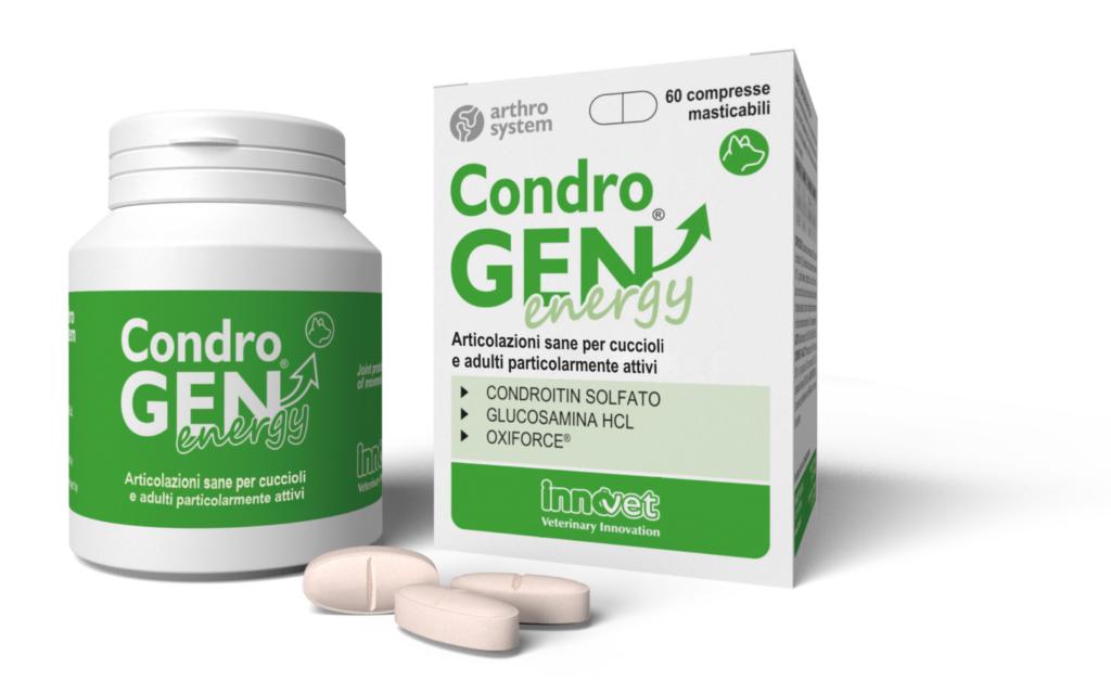 Condrogen® Energy, Salute in movimento!