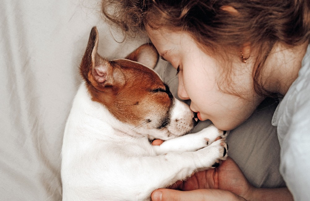 La prima notte con un cucciolo