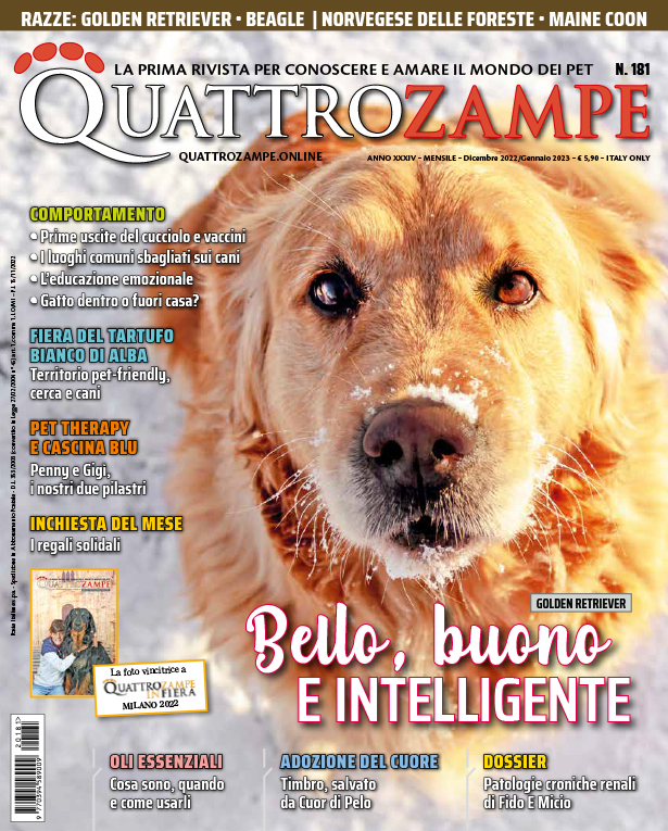 È in edicola il numero di Dicembre/Gennaio di Quattrozampe