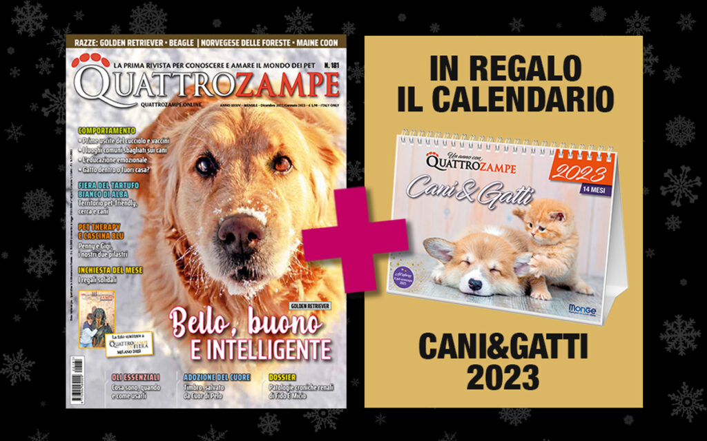 È arrivato il Black Friday 2022 di Quattro Zampe - In regalo per te un fantastico calendario!