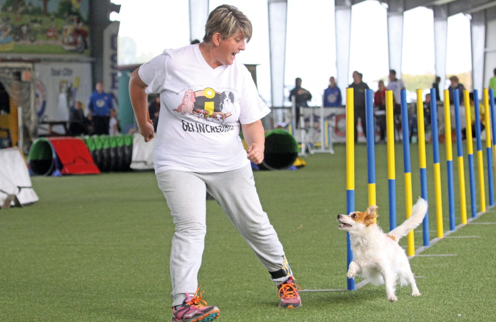 Olivia & Donatella, adozione del cuore e passione agility