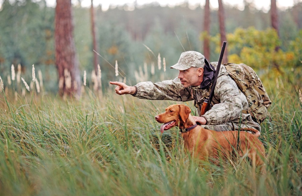 Il cane si ferisce? Niente cure, si abbatte