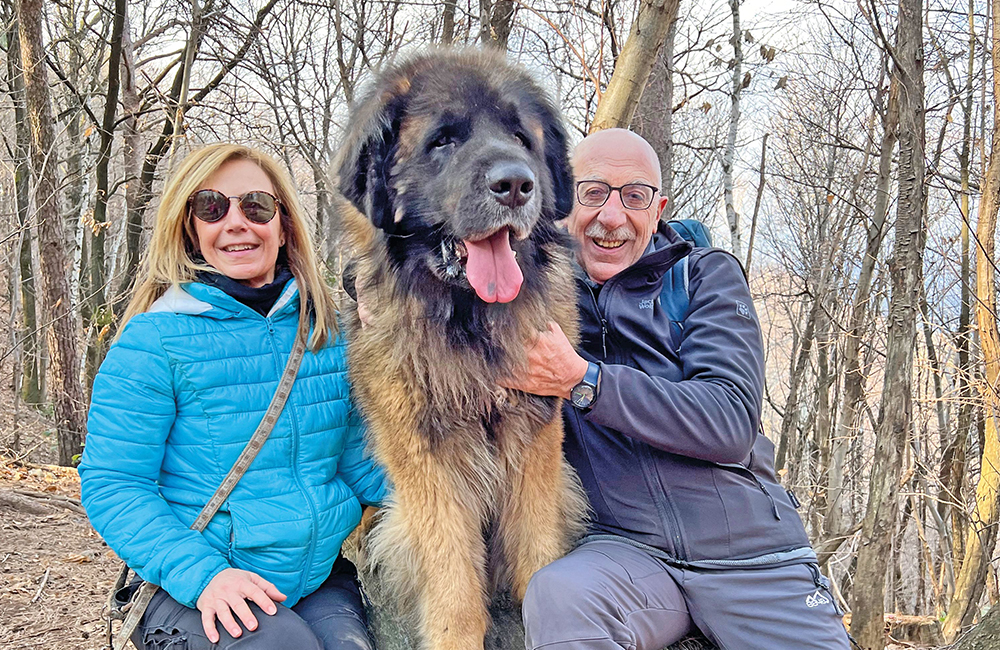 Giotto, il gigante buono