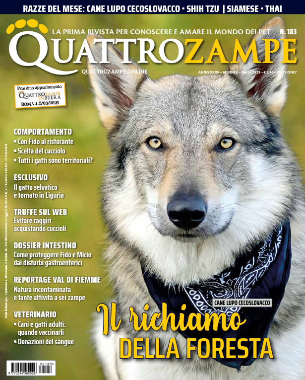 È in edicola il numero di Marzo 2023 di Quattrozampe