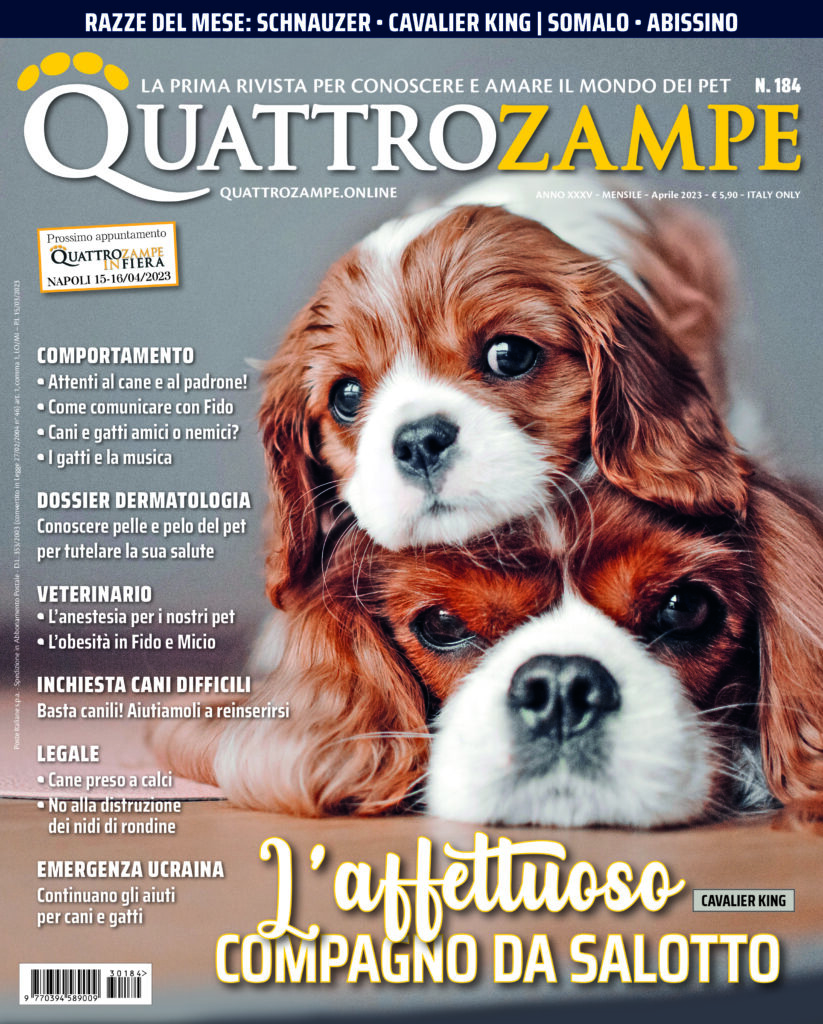 È in edicola il numero di Aprile 2023 di Quattrozampe