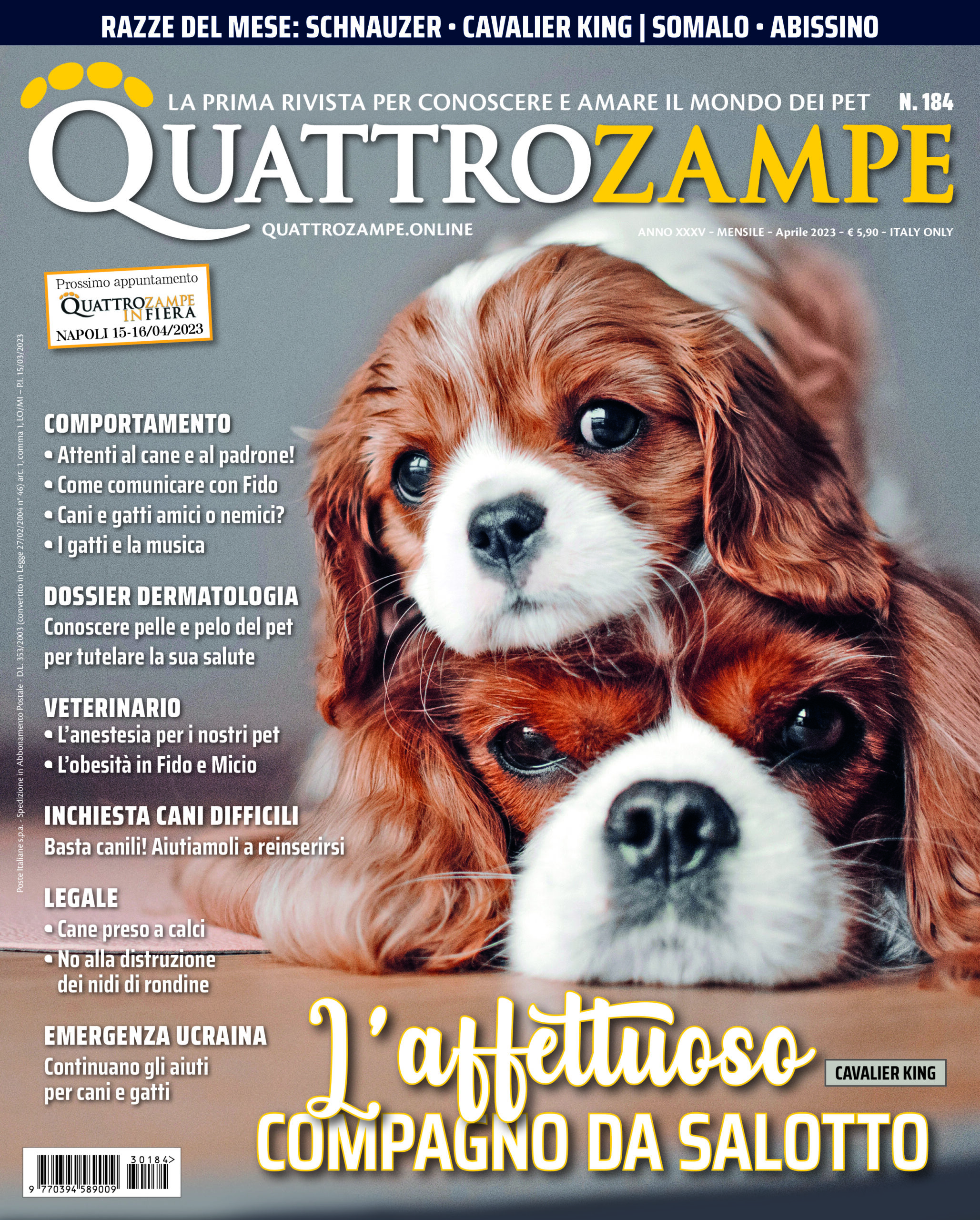 quattro zampe