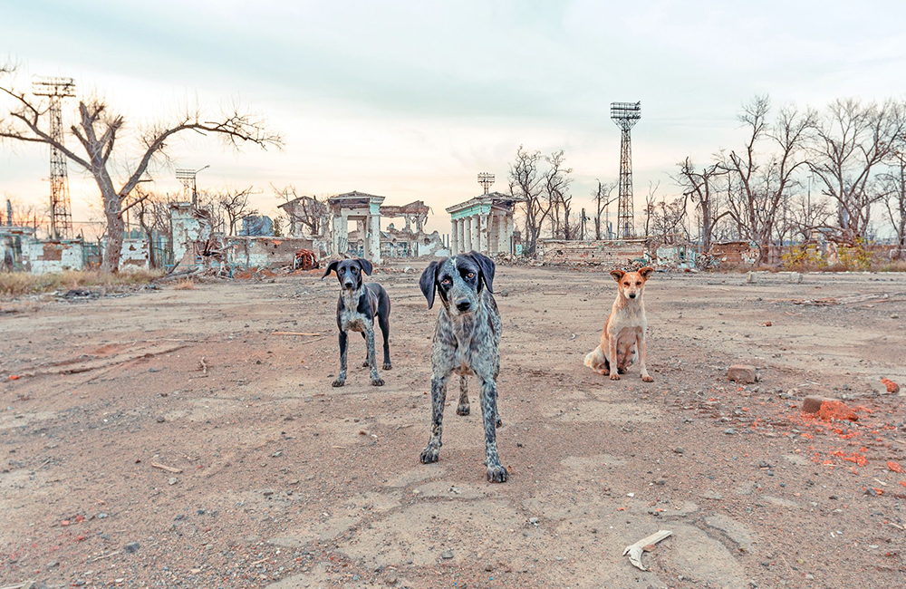 Ucraina: gli aiuti di Alfa Spedizioni