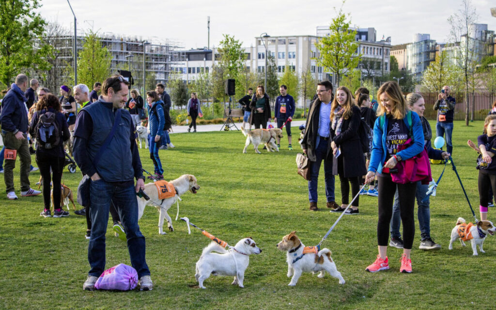 A Milano la Dog Run, una giornata di benessere a sei zampe