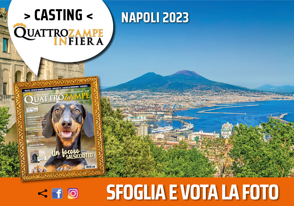 Concorso Fotografico - QuattroZampe in Fiera - Napoli - Aprile 2023