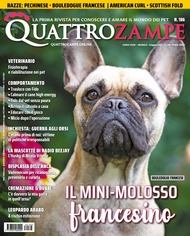 È in edicola il numero di Giugno 2023 di Quattrozampe