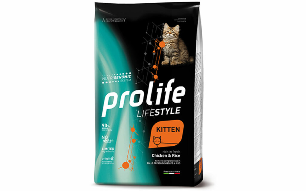 Arriva un gattino: prepariamoci ad accoglierlo!
