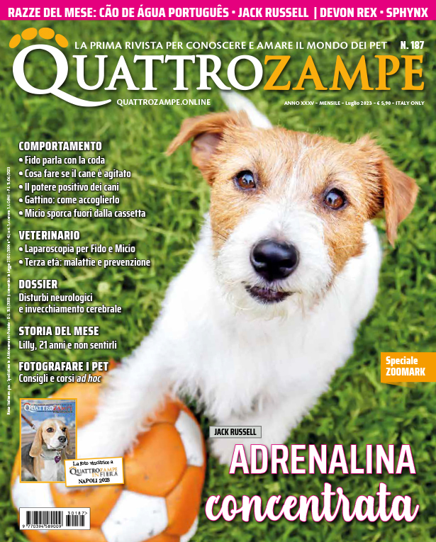 È in edicola il numero di Luglio 2023 di Quattrozampe