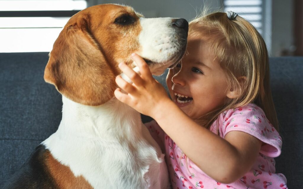 Protezione dai parassiti, qui comincia il benessere per gli amici animali