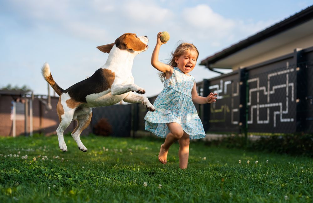 Protezione dai parassiti, qui comincia il benessere per gli amici animali