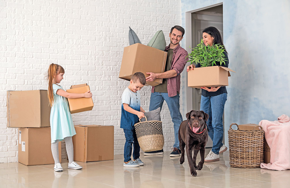 Il trasloco per il cane