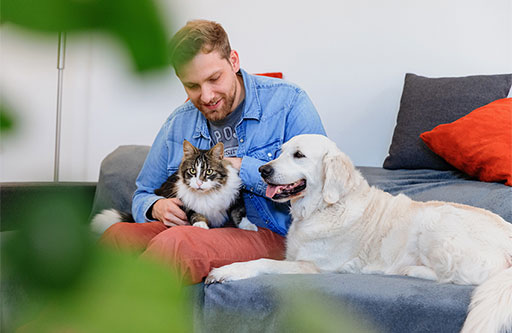 Amici a quattro zampe, attenzione a cute e mantello