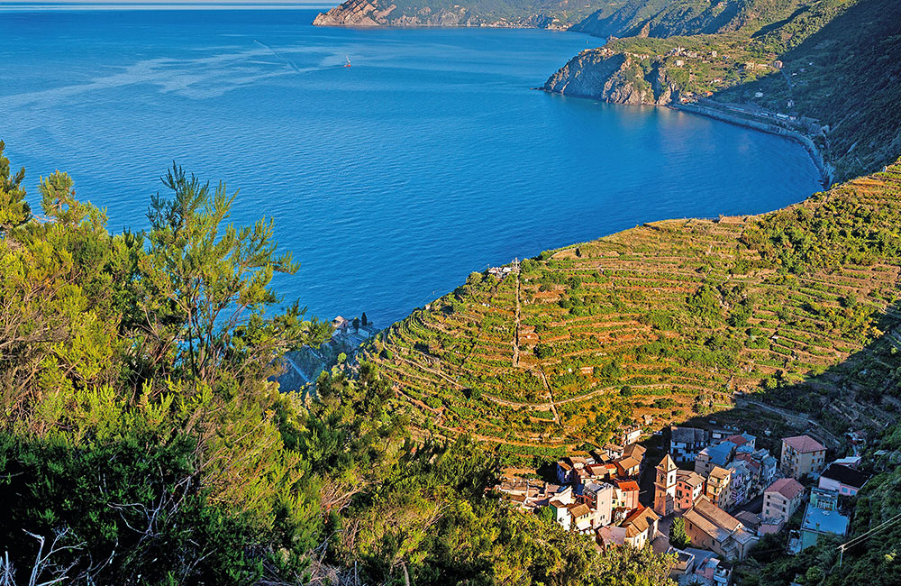 Con Fido alle Cinque Terre