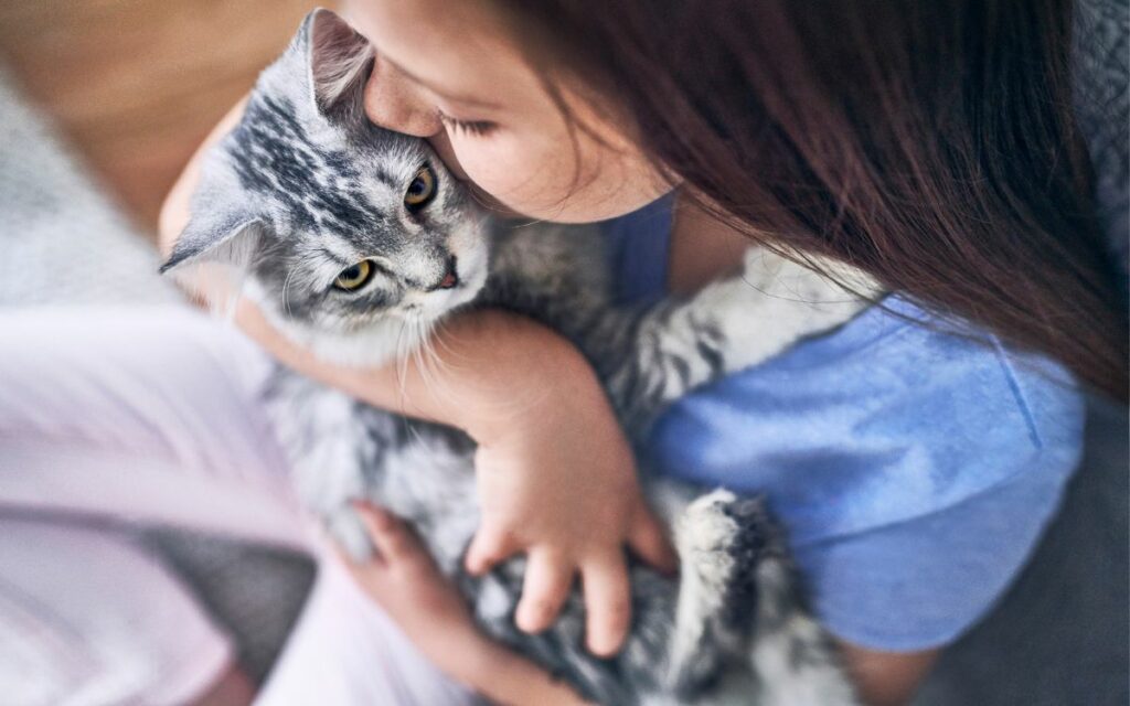 Cuccioli e gattini, il benessere parte dalla ciotola