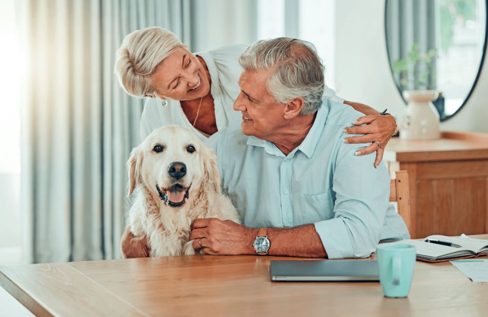 Il potere positivo dei cani