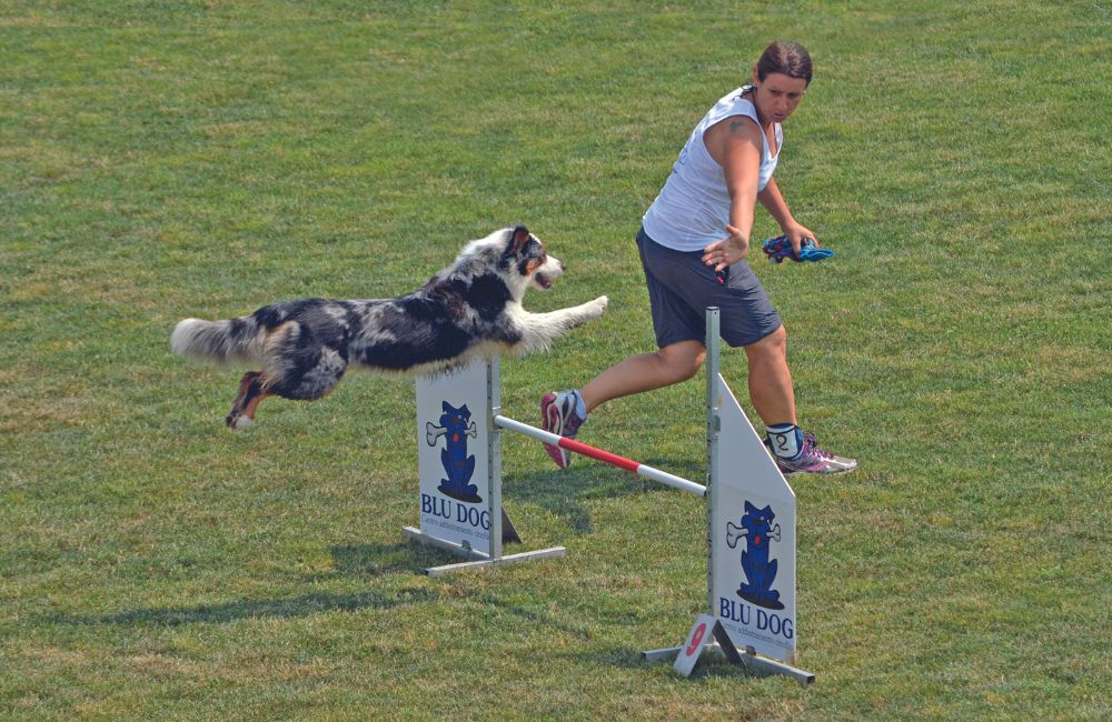 World Agility Championship 2023