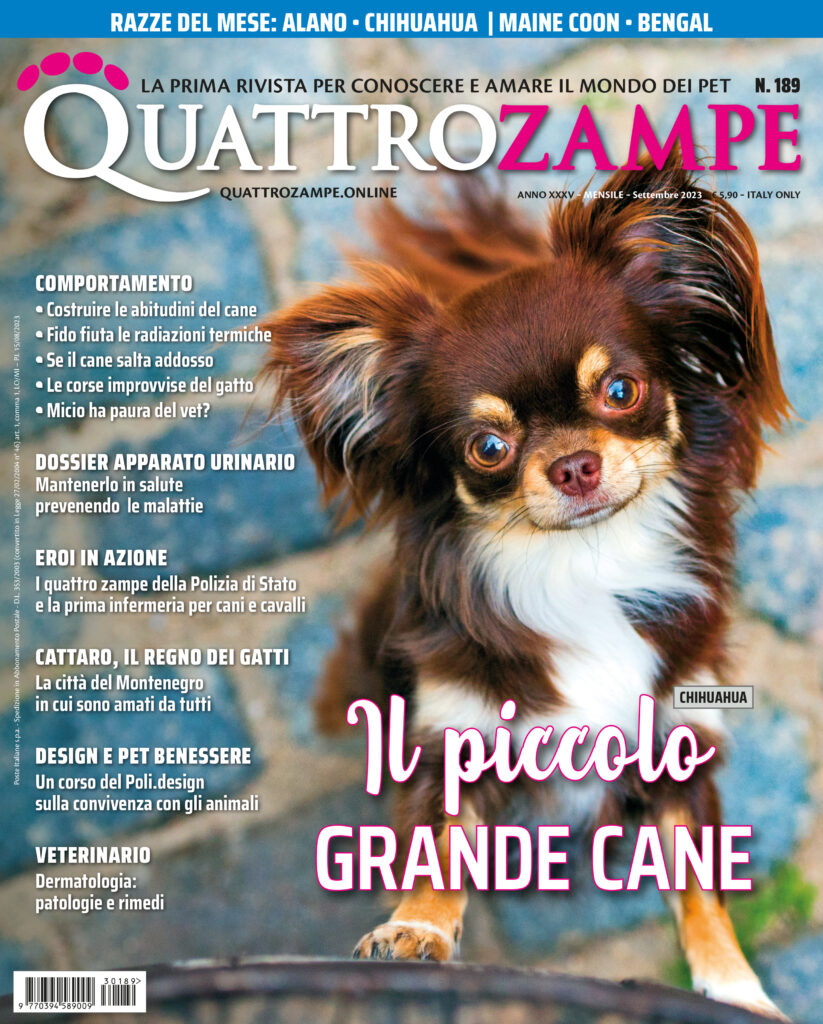 È in edicola il numero di Settembre 2023 di Quattrozampe