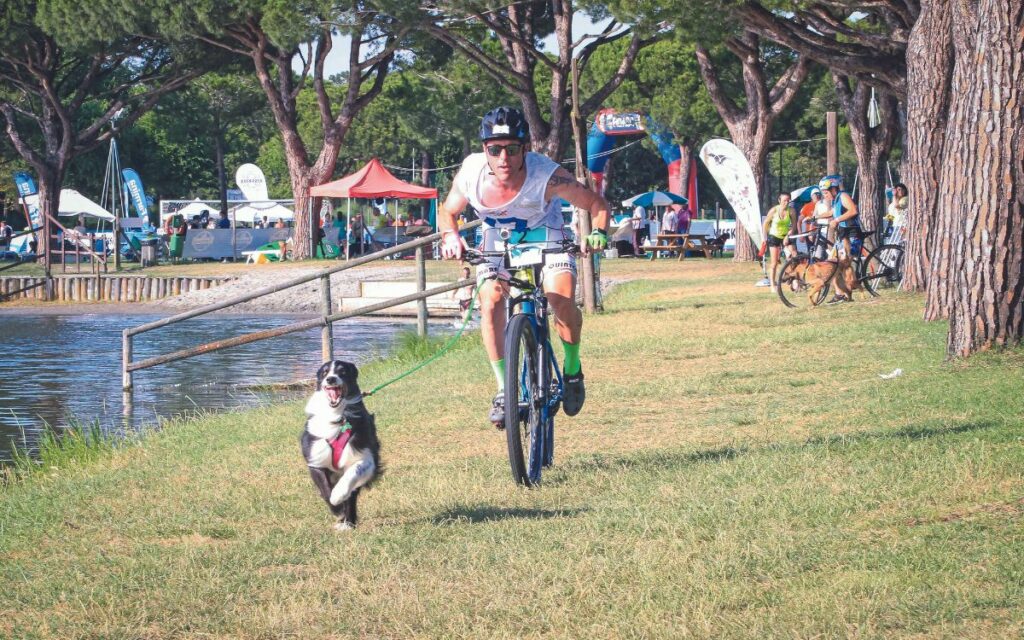 Tre volte sportivi con i nostri cani