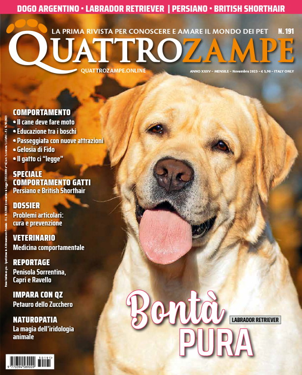 È in edicola il numero di Novembre 2023 di Quattrozampe