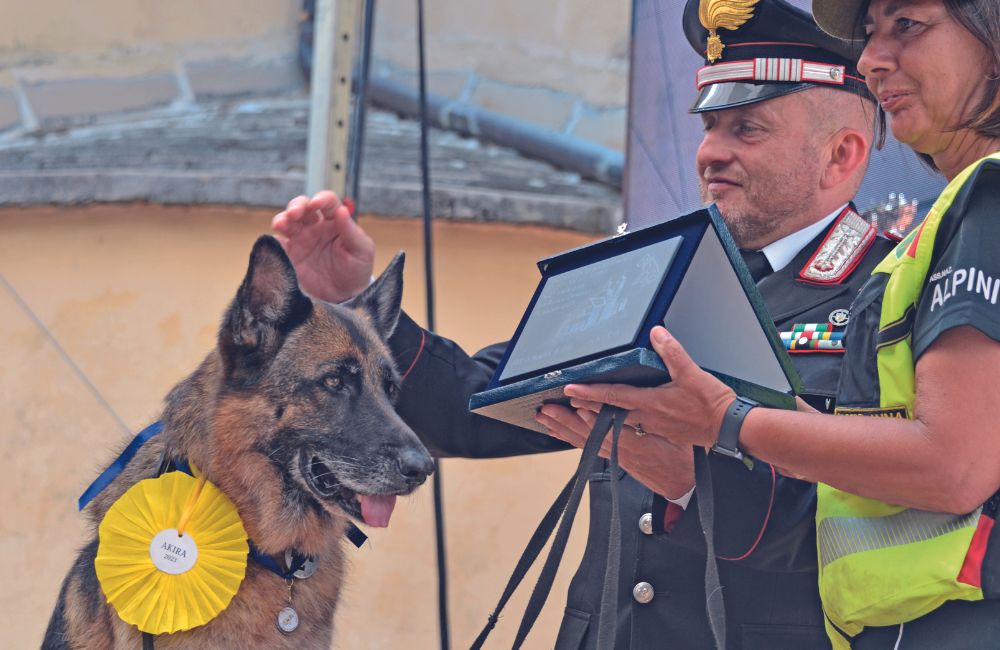 Premio Fedeltà del cane