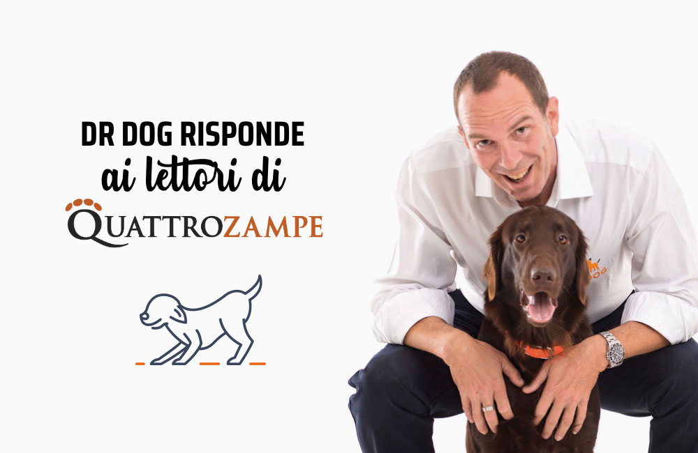 E se voglio adottare un secondo cane?