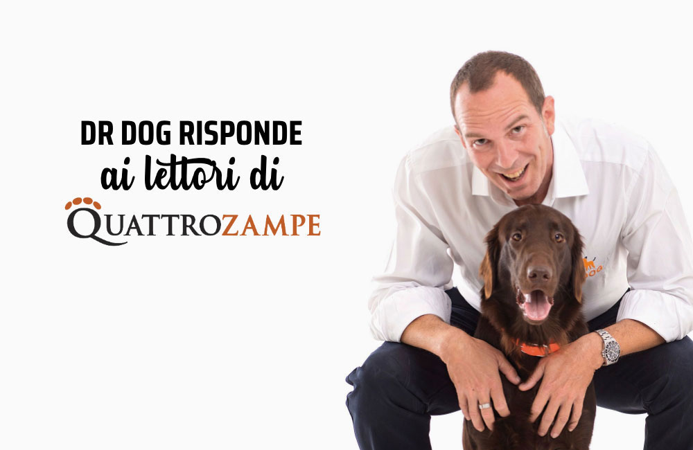 Cucciolo che morde tutto? Insegnagli a crescere