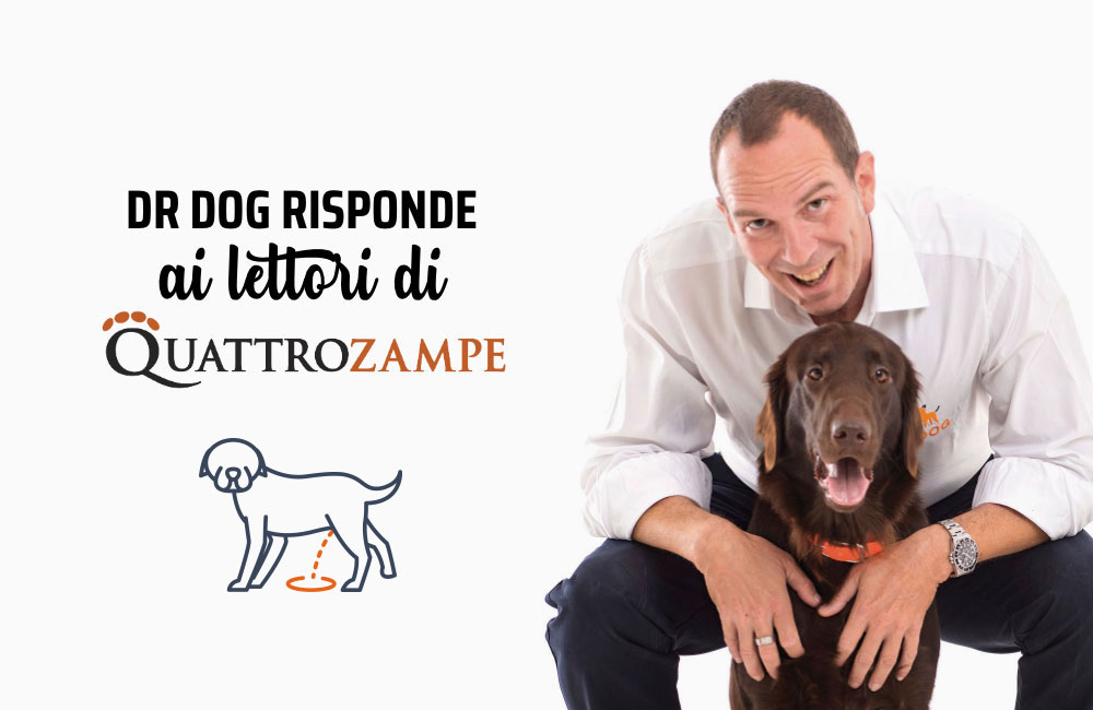 Perché il cane femmina alza la zampa per fare pipì?