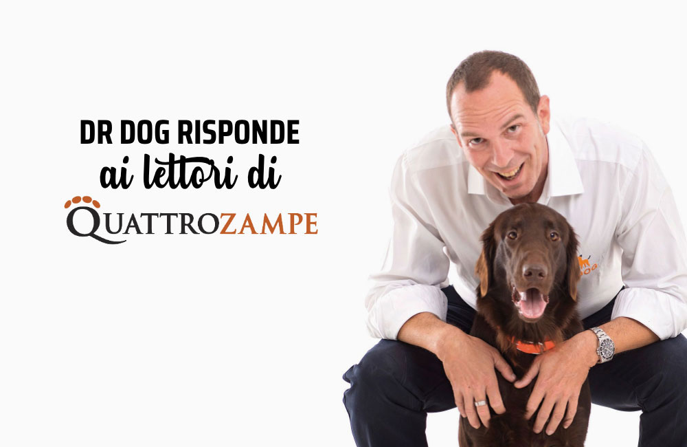 La falsa leggenda della pazzia del Dobermann