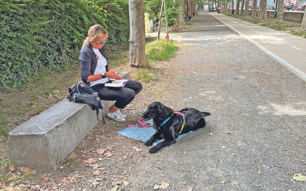 Passeggiata con nuove attrazioni