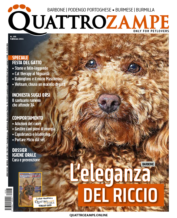 È in edicola il numero di febbraio 2024 di Quattrozampe