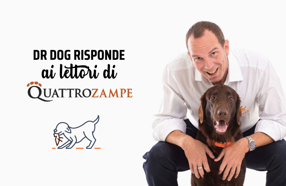 L'educazione del cane