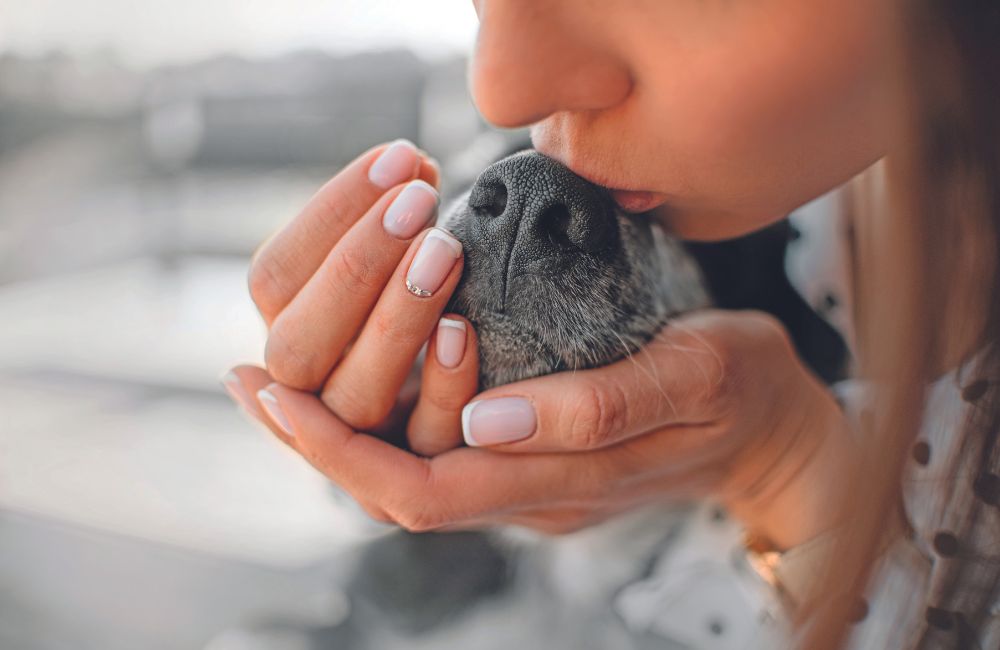 Come i cani ricordano le persone