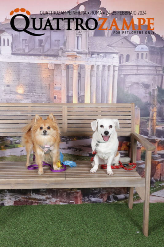 Concorso Fotografico - QuattroZampe in Fiera - Roma - Febbraio 2024
